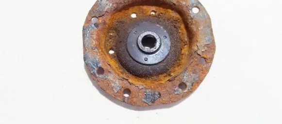 Coil spring mount
