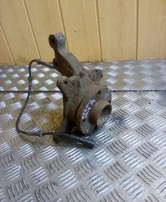 Renault Scenic I Front wheel bearing hub 