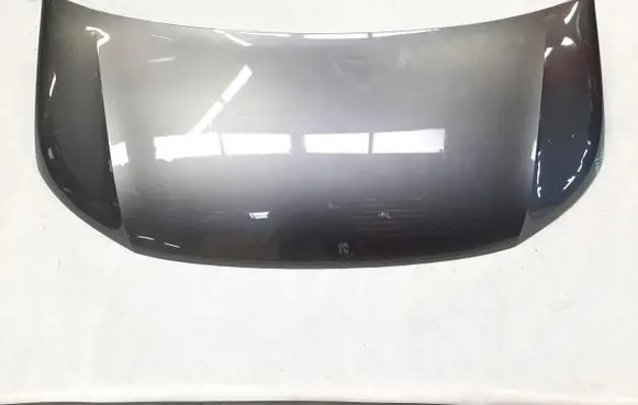 Engine bonnet/hood