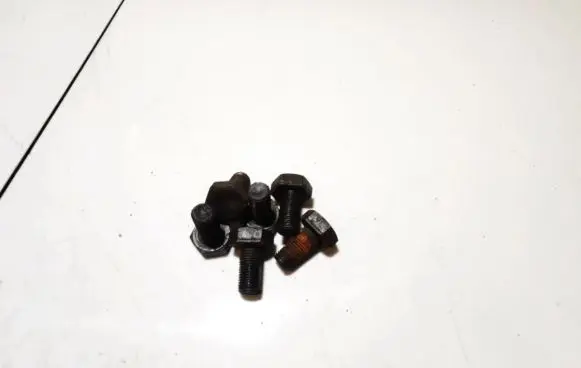 Renault Clio III Nuts/bolts 