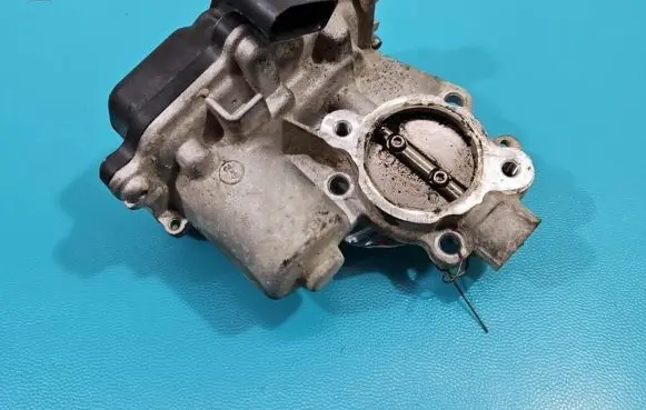 Throttle body valve