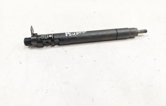 Peugeot 508 RXH Fuel injector EMBR00101D 91EAH9L 7UM2B0X