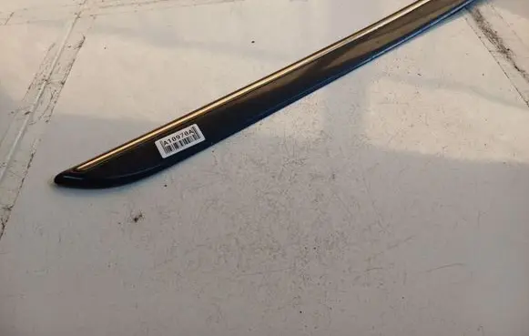 Mercedes-Benz A W169 Rear door trim (molding) 1696901462