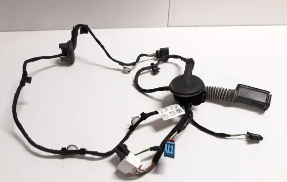 Rear door wiring loom