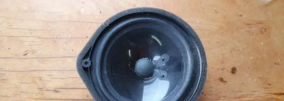 Honda Jazz Rear door speaker