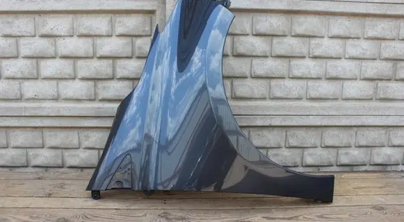 Renault Zoe Fender 631009208R