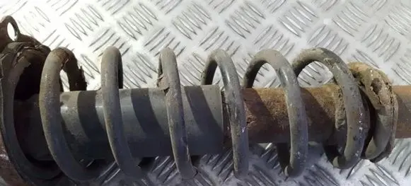 Toyota Corolla E120 E130 Rear coil spring