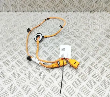 Audi Q4 e-tron Other wiring loom 1EA971475F