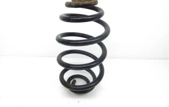 Volkswagen PASSAT B5.5 Rear coil spring
