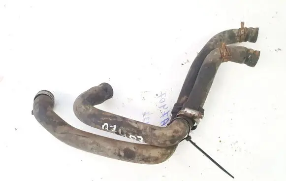 Nissan Almera Tino Engine coolant pipe/hose
