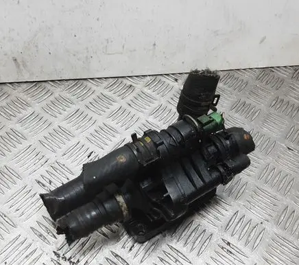 Thermostat/thermostat housing