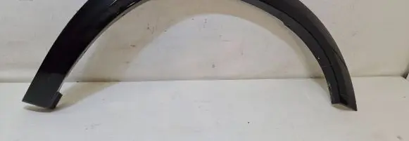 Dodge RAM 1500 DS Fender trim (molding) 1TD26TRMAD