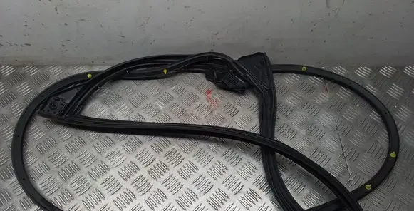 Lexus NX Other front door trim element 