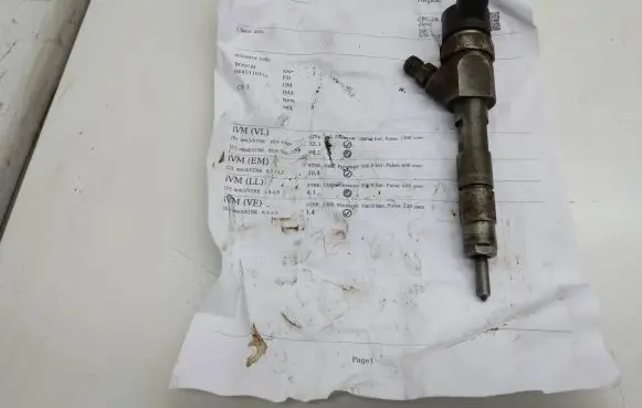 Renault Megane II Fuel injector 0445110110