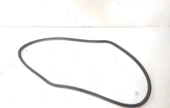 Volkswagen PASSAT B6 Front door rubber seal