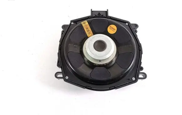 BMW X6 E71 Panel speaker 65139112491