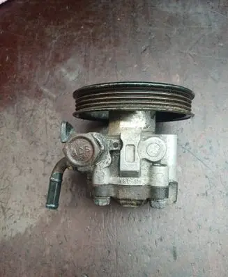 Hyundai Terracan Power steering pump