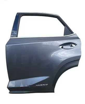 Lexus NX Rear door