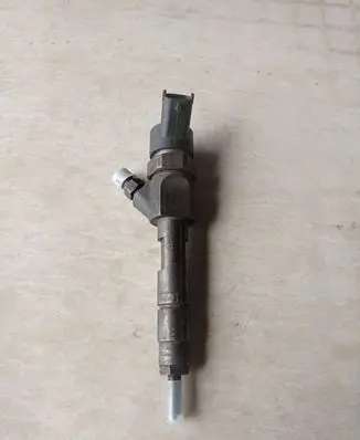 Renault Scenic II - Grand scenic II Fuel injector 0445110110B