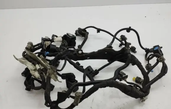 Engine installation wiring loom