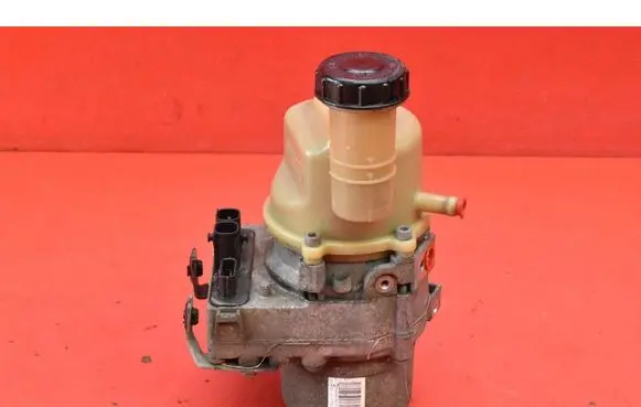 Dacia Dokker Power steering pump 491100842R