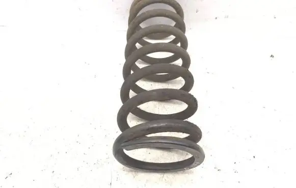 Rear coil spring