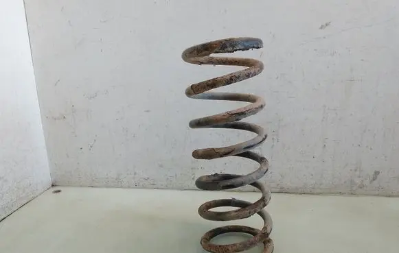 Rear coil spring
