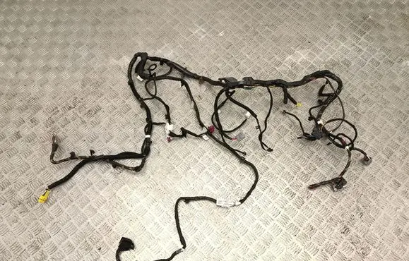 Tesla Model Y Other wiring loom 248904802B