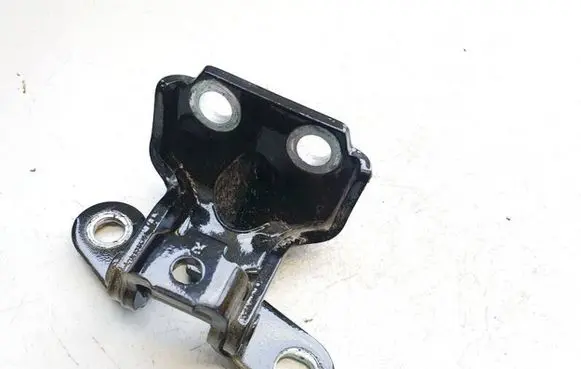 KIA EV6 Rear door lower hinge