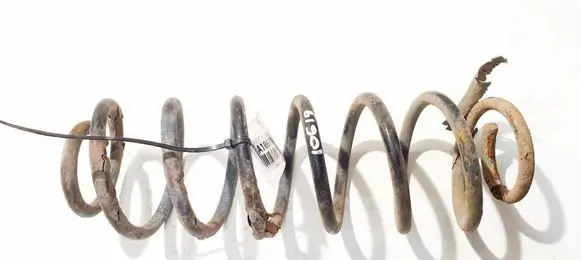 Rear coil spring