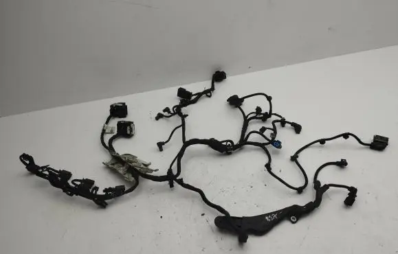 Engine installation wiring loom