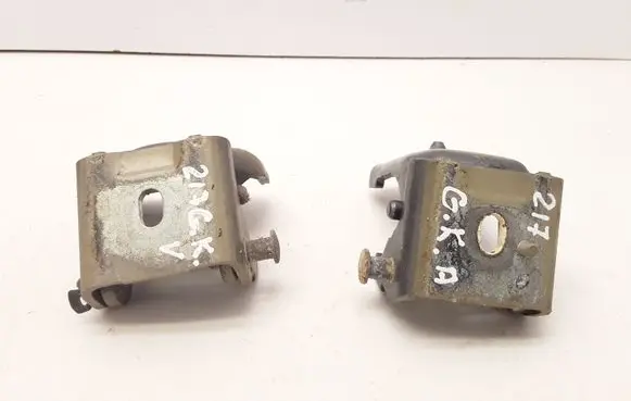 Citroen C3 Rear door hinge set 