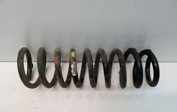 Rear coil spring