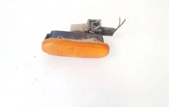 Front fender indicator light
