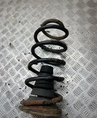 Toyota Land Cruiser (J120) Rear coil spring 