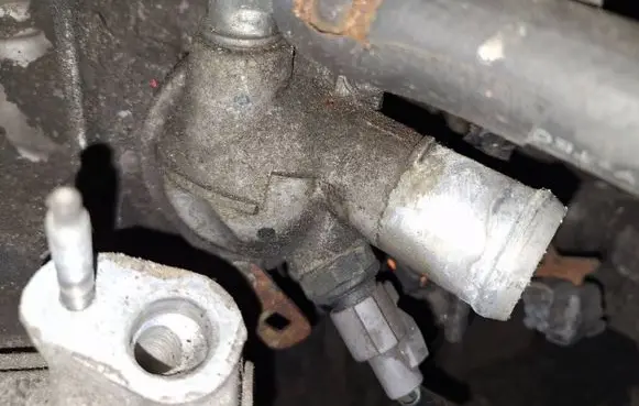 Honda Accord Engine coolant pipe/hose