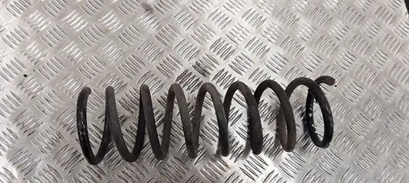 Ford C-MAX II Rear coil spring