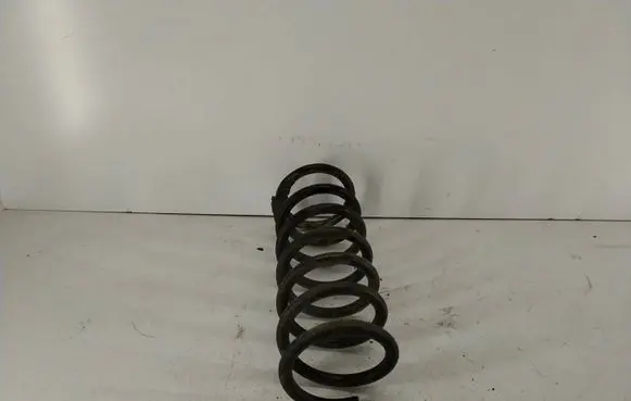 Rear coil spring