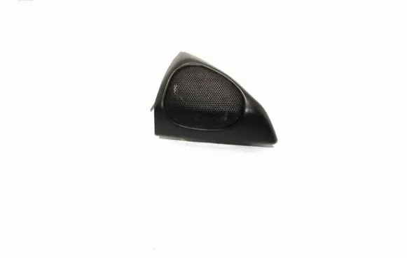 Rear door speaker