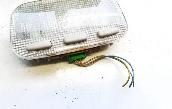 Citroen C5 Front seat light