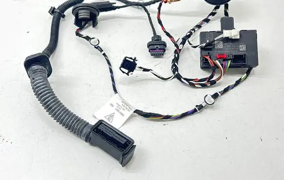 Front door wiring loom