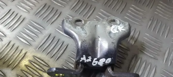 Hyundai i20 (PB PBT) Rear door lower hinge