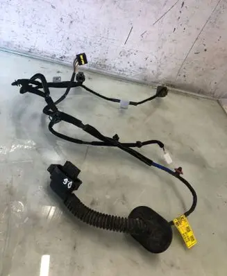 Hyundai Kona II Rear door wiring loom 91630be010