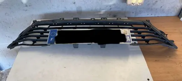 Renault Megane IV Front bumper lower grill 622542307R