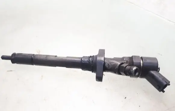 Citroen C5 Fuel injector 0445110036 9637277980