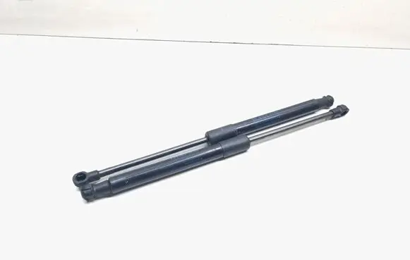 Front bonnet/hood damper/strut