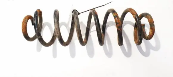 Skoda Roomster (5J) Rear coil spring