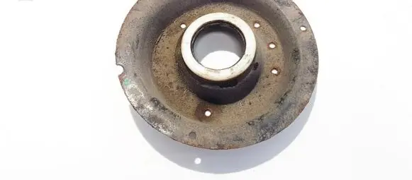 Coil spring mount