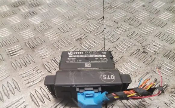 Volkswagen PASSAT B6 Gateway control module 3c0907530c