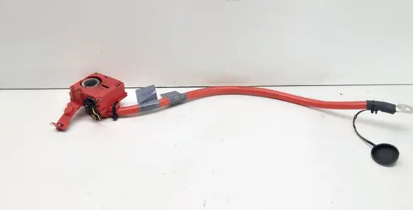 BMW 5 GT F07 Positive cable (battery) 9203570